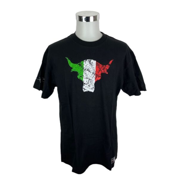 WWE T-shirt Team Bring it The Rock 2011 1 WWE T-shirt Team Bring it The Rock 2011